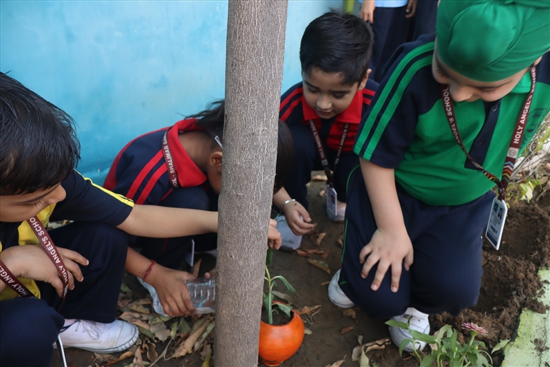 ACTIVITIES TOWARD A GREEN EARTH AND A CLEAN EARTH